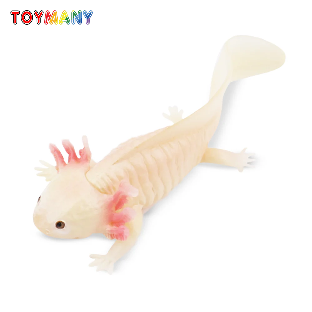 Model Kit Lizard - Toymany Simulation Axolotl Salamander Reptile Animal