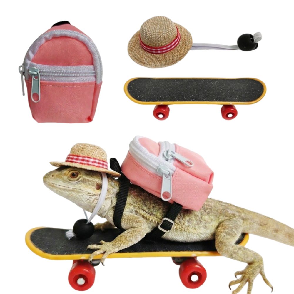 Creative Pet Skateboard Toys S - Model Kit Lizard recensie en prijs