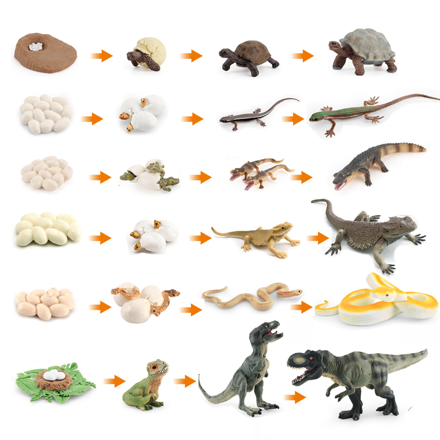 Simulation Dinosaur Lizard Tur - Model Kit Lizard recensie en prijs