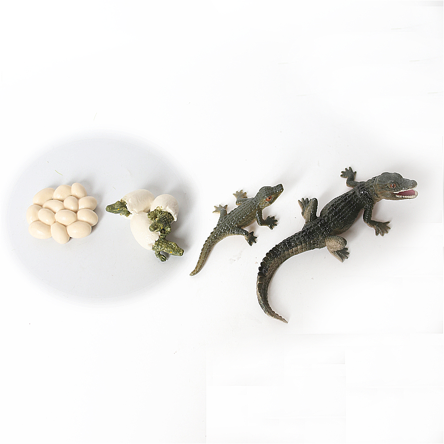 Simulation Dinosaur Lizard Tur - Model Kit Lizard recensie en prijs