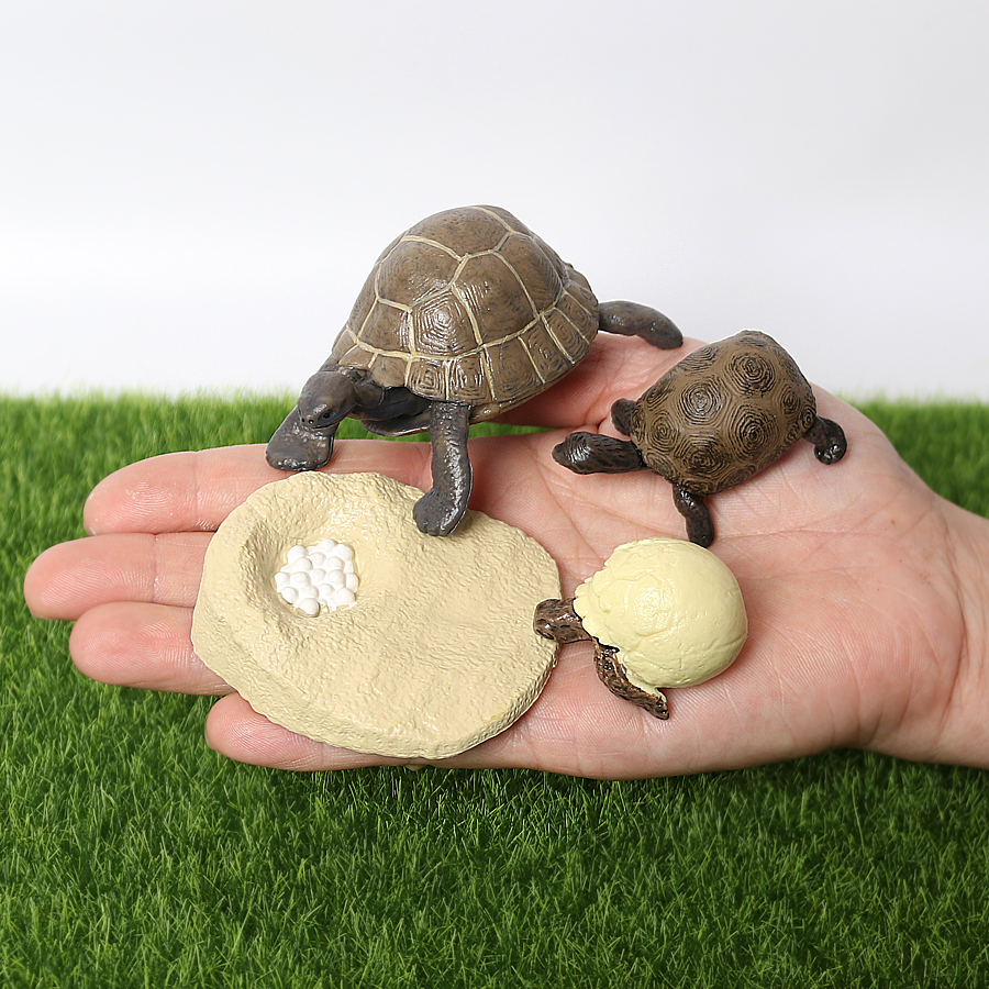 Realistic Reptile Growth Cycle - Model Kit Lizard recensie en prijs