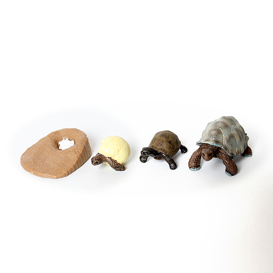 Realistic Reptile Growth Cycle - Model Kit Lizard recensie en prijs