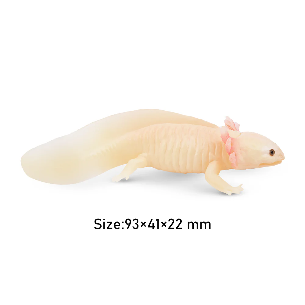 Toymany Simulation Axolotl Sal - Model Kit Lizard recensie en prijs