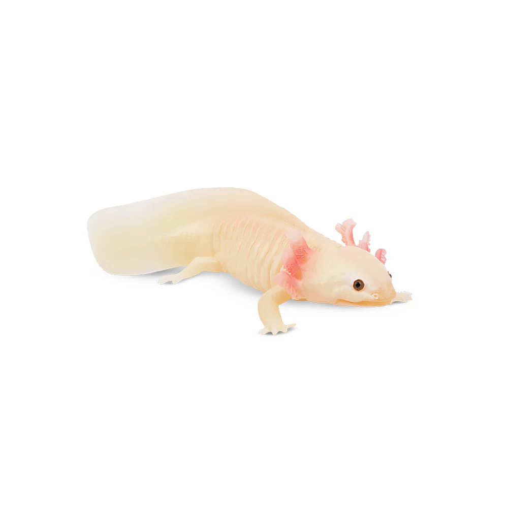 Toymany Simulation Axolotl Sal - Model Kit Lizard recensie en prijs