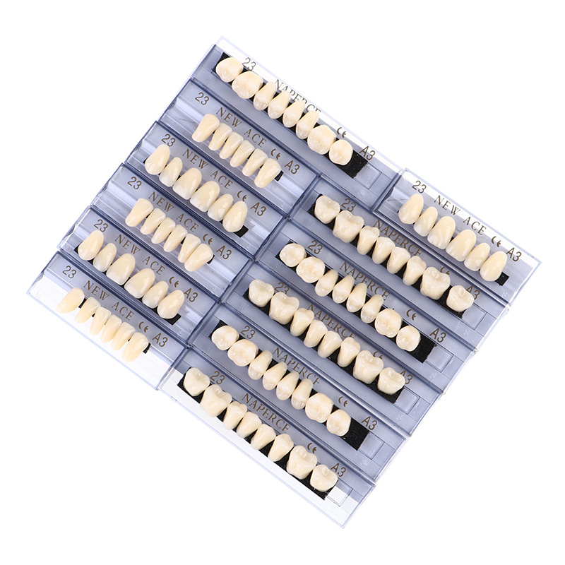 168pcs/box Dental Synthetic Re - Model Kit Ixchel recensie en prijs