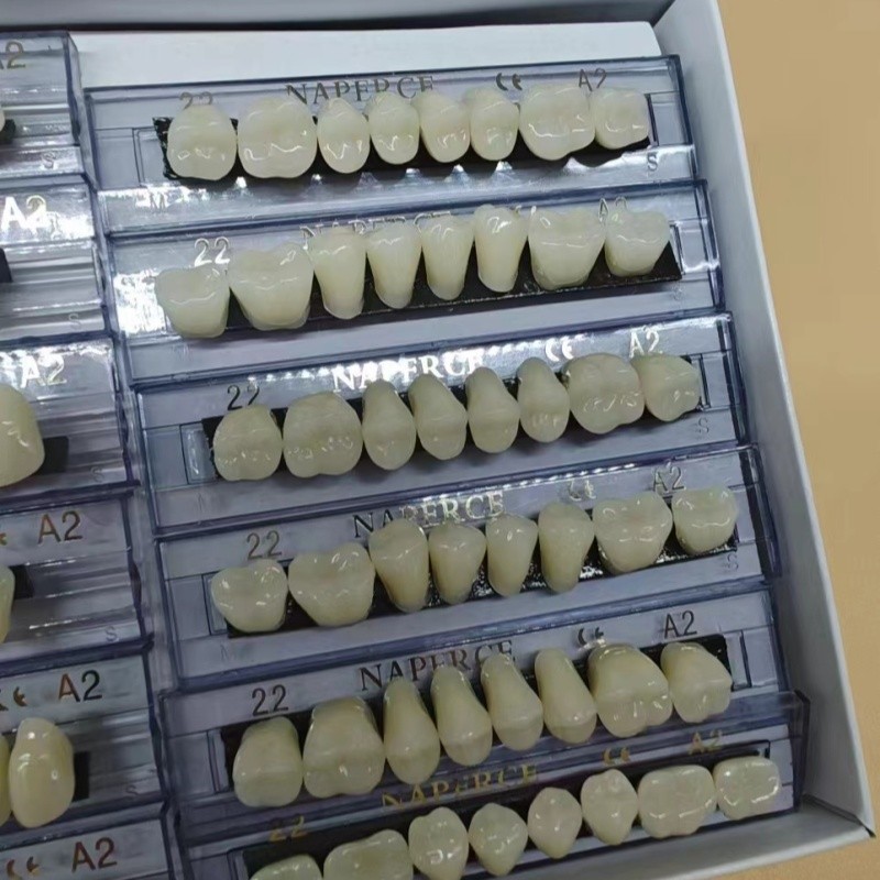 168pcs/box Dental Synthetic Re - Model Kit Ixchel recensie en prijs