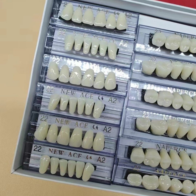 168pcs/box Dental Synthetic Re - Model Kit Ixchel recensie en prijs