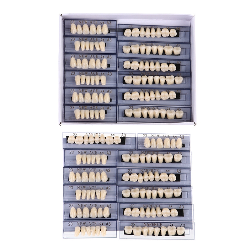 168pcs/box Dental Synthetic Re - Model Kit Ixchel recensie en prijs